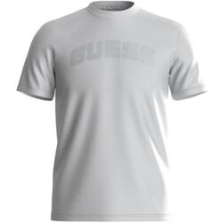 Vêtements Homme T-shirts manches courtes Guess  Gris