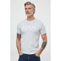 Vêtements Homme T-shirts manches courtes Guess U4RI22 K6YW0 Gris