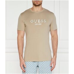 Vêtements Homme T-shirts manches courtes Guess M4YI38 J1314 Beige