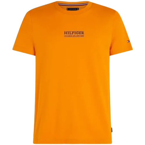 Vêtements Homme T-shirts & Polos Tommy Hilfiger MW0MW34387 Orange