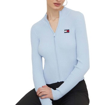 Vêtements Femme Sweats Tommy Hilfiger DW0DW17243 Bleu