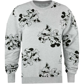 Vêtements Femme Sweats Disney TV3052 Gris