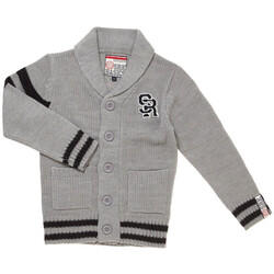 Vêtements Garçon Gilets / Cardigans Srk Gilet garçon ECOTWO Gris