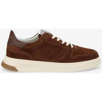 Chaussures Homme Baskets basses Schmoove ORDER SNEAKER M Marron