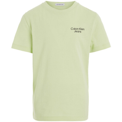 Vêtements Garçon T-shirts manches courtes Calvin Klein Jeans 160887VTPE24 Vert