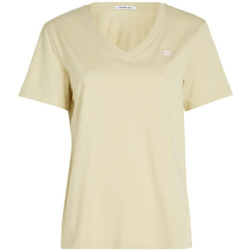 Vêtements Femme T-shirts manches courtes Calvin Klein Jeans 160978VTPE24 Vert