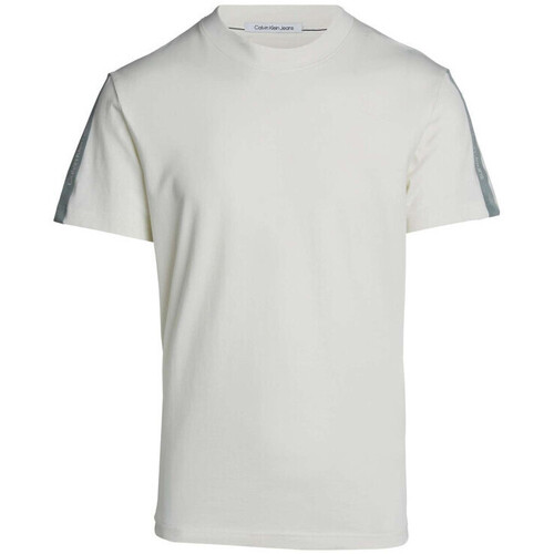 Vêtements Homme T-shirts manches courtes Calvin Klein Jeans 168776VTAH24 Blanc