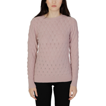 Vêtements Femme Pulls Sandro Ferrone S83YBDMA96046 Rose