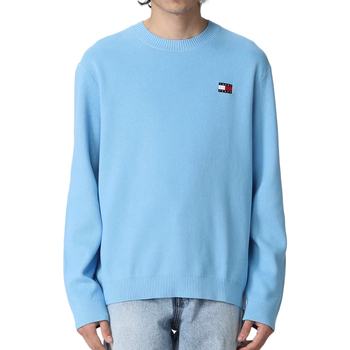 Vêtements Homme Pulls Tommy Hilfiger DM0DM16214 Bleu