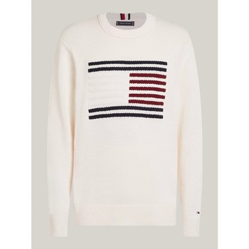 Vêtements Homme Pulls Tommy Hilfiger MW0MW36192 Blanc