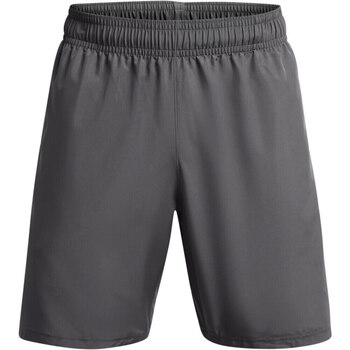 Vêtements Homme Shorts / Bermudas Under Armour UA Woven Wdmk Shorts Gris