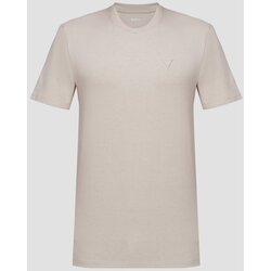 Vêtements Homme T-shirts manches courtes Guess Z2YI12 JR06K Beige