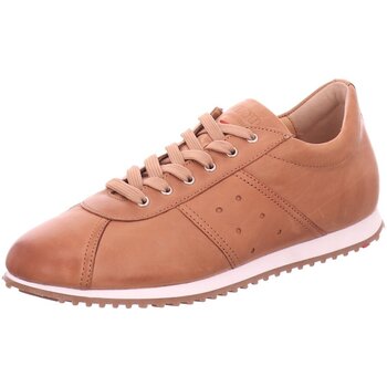 Chaussures Femme Derbies & Richelieu Lloyd  Marron