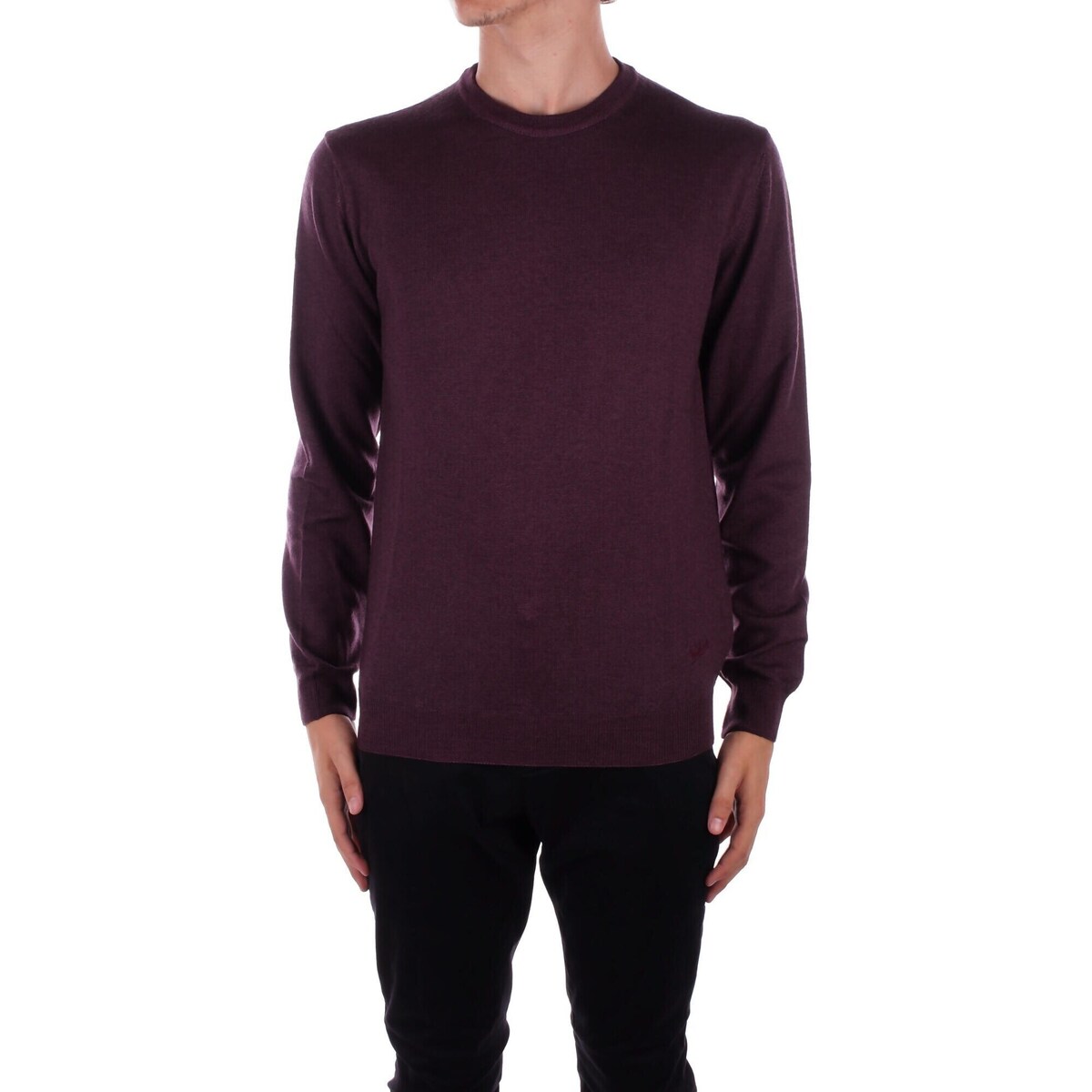 Vêtements Homme Pulls Woolrich CFWOKN0277MRUF0775 Violet