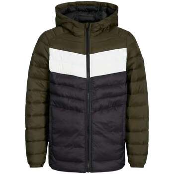 Vêtements Garçon Doudounes Jack & Jones 168404VTAH24 Kaki