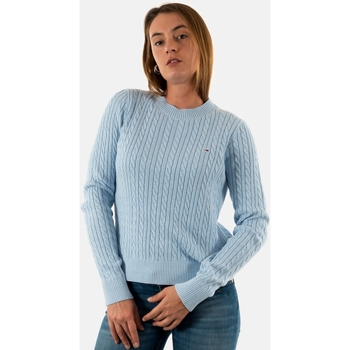 Vêtements Femme Pulls Tommy Jeans dw0dw18683 Bleu