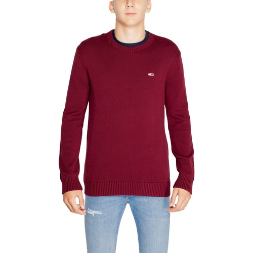 Vêtements Homme Pulls Tommy Hilfiger TJM ESSNTLS C-NECK DM0DM18370 Rouge