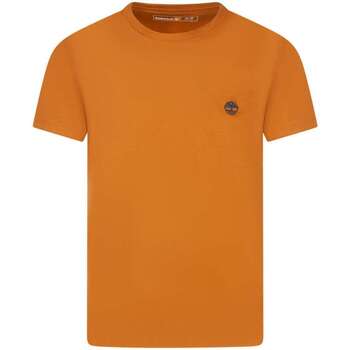 Vêtements Homme T-shirts manches courtes Timberland 170544VTAH24 Orange