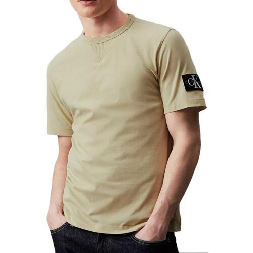 Vêtements Homme T-shirts & Polos Calvin Klein Jeans J30J323484 Vert