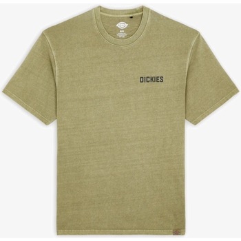 Vêtements Homme T-shirts & Polos Dickies HIGH FLYING WORKWEAR Vert