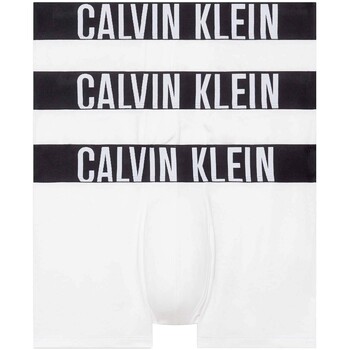 Sous-vêtements Homme Caleçons Calvin Klein Jeans Trunk 3Pk Blanc