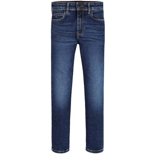 Vêtements Homme Jeans Tommy Hilfiger  Bleu