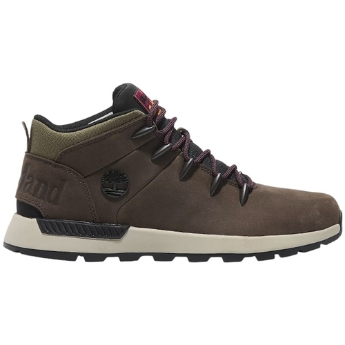 Chaussures Homme Baskets mode Timberland SPRINT TREKKER MID LACE U Vert