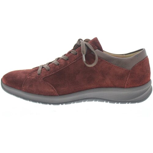 Chaussures Femme Baskets mode Hartjes SF SHOE Marron