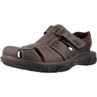 Chaussures Homme Sandales et Nu-pieds Imac PACIFIC Marron