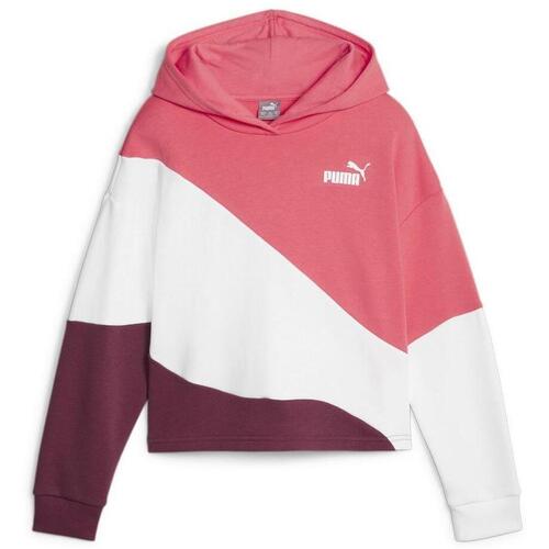 Vêtements Fille Sweats Puma 673548-22 Rose