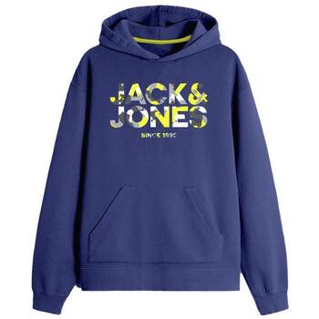 Vêtements Garçon Sweats Jack & Jones 12266584 Bleu