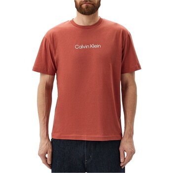 Vêtements Homme T-shirts manches courtes Calvin Klein Jeans K10K111346 Rouge