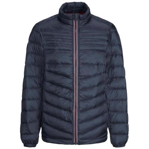 Vêtements Garçon Doudounes Jack & Jones 12217751 Bleu