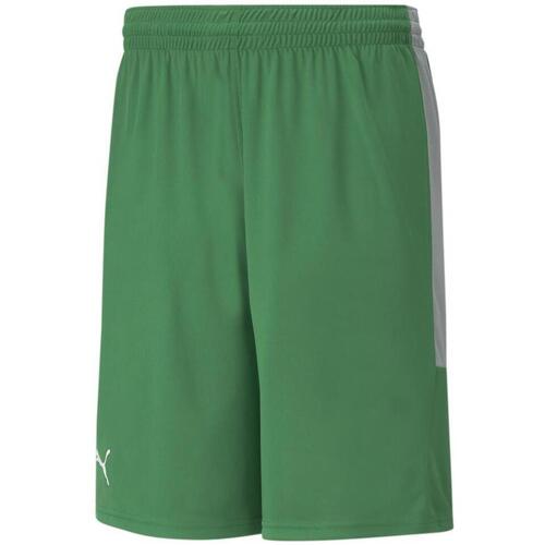 Vêtements Homme Shorts / Bermudas Puma 605070-03 Vert