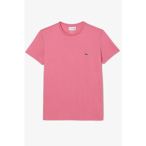 Vêtements Homme T-shirts manches courtes Lacoste T-Shirt  rose Rose