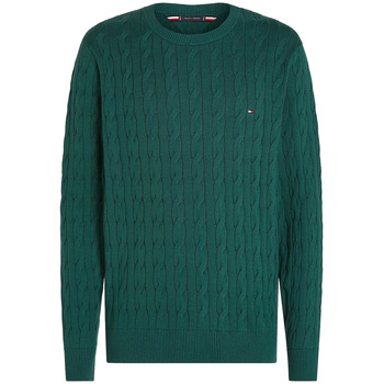 Vêtements Homme Pulls Tommy Hilfiger  Vert