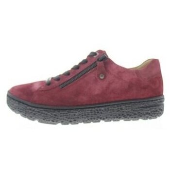 Chaussures Femme Baskets mode Hartjes Phil Shoe Bordeaux