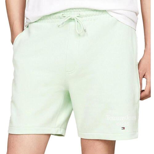 Vêtements Homme Shorts / Bermudas Tommy Hilfiger DM0DM19153 Vert