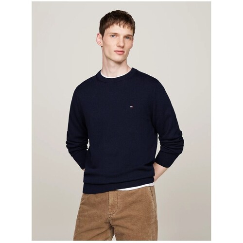 Vêtements Homme Pulls Tommy Hilfiger Pull DW5