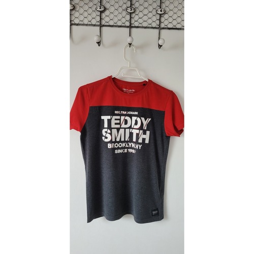 Vêtements Garçon T-shirts manches courtes Teddy Smith Tee shirt rouge et gris Gris