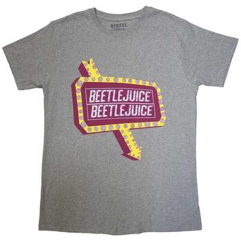 Vêtements T-shirts & Polos Beetlejuice Beetlesign Gris