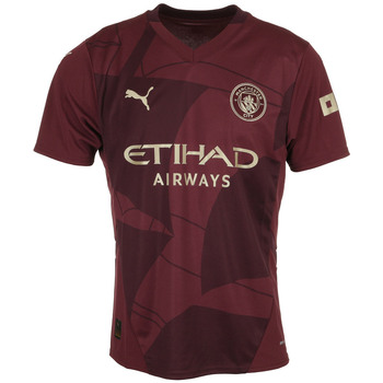 Vêtements Homme T-shirts manches courtes Puma Mcfc Third Jersey Replica Rouge