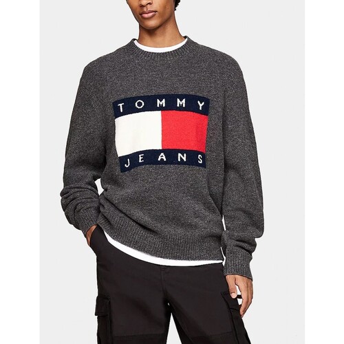 Vêtements Homme Sweats Tommy Jeans  Gris