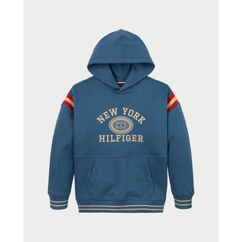 Vêtements Garçon Sweats Tommy Hilfiger Sweat-shirts enfant  avec capuche Multicolore