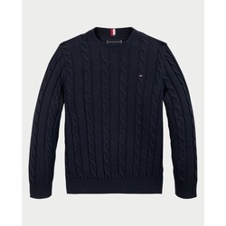 Vêtements Garçon Pulls Tommy Hilfiger  Bleu