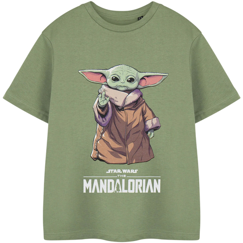 Vêtements Garçon T-shirts & Polos Star Wars The Mandalorian NS8533 Multicolore