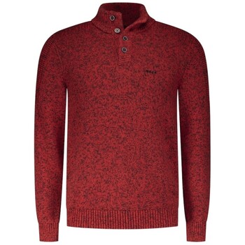 Vêtements Homme Pulls Nza Pull REEF RED