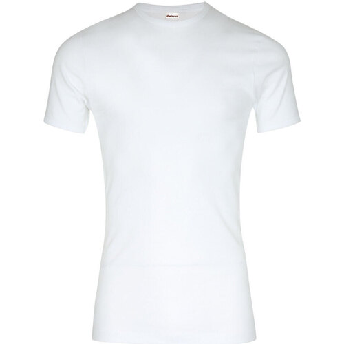 Vêtements Homme T-shirts manches courtes Eminence Tee-shirt col rond Pur coton Premium Blanc