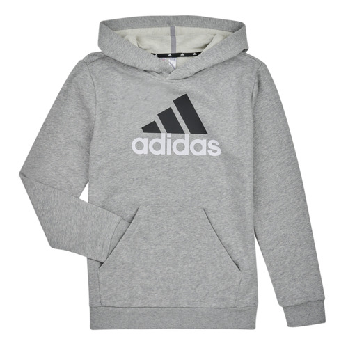 Textil Chlapecké Mikiny Adidas Sportswear BL 2 HOODIE Šedá