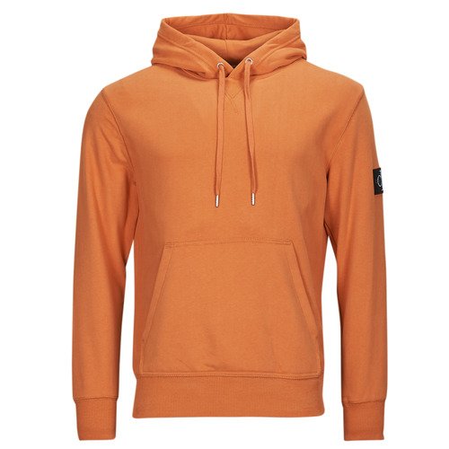 Textil Muži Trička s krátkým rukávem Calvin Klein Jeans BADGE HOODIE Oranžová